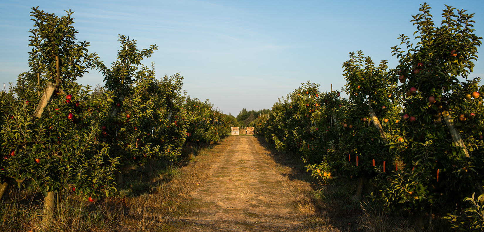 farms