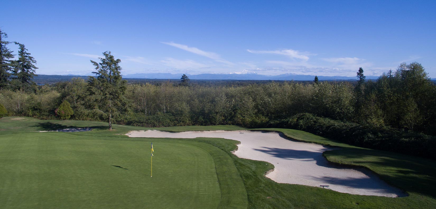 golf green and sand trap