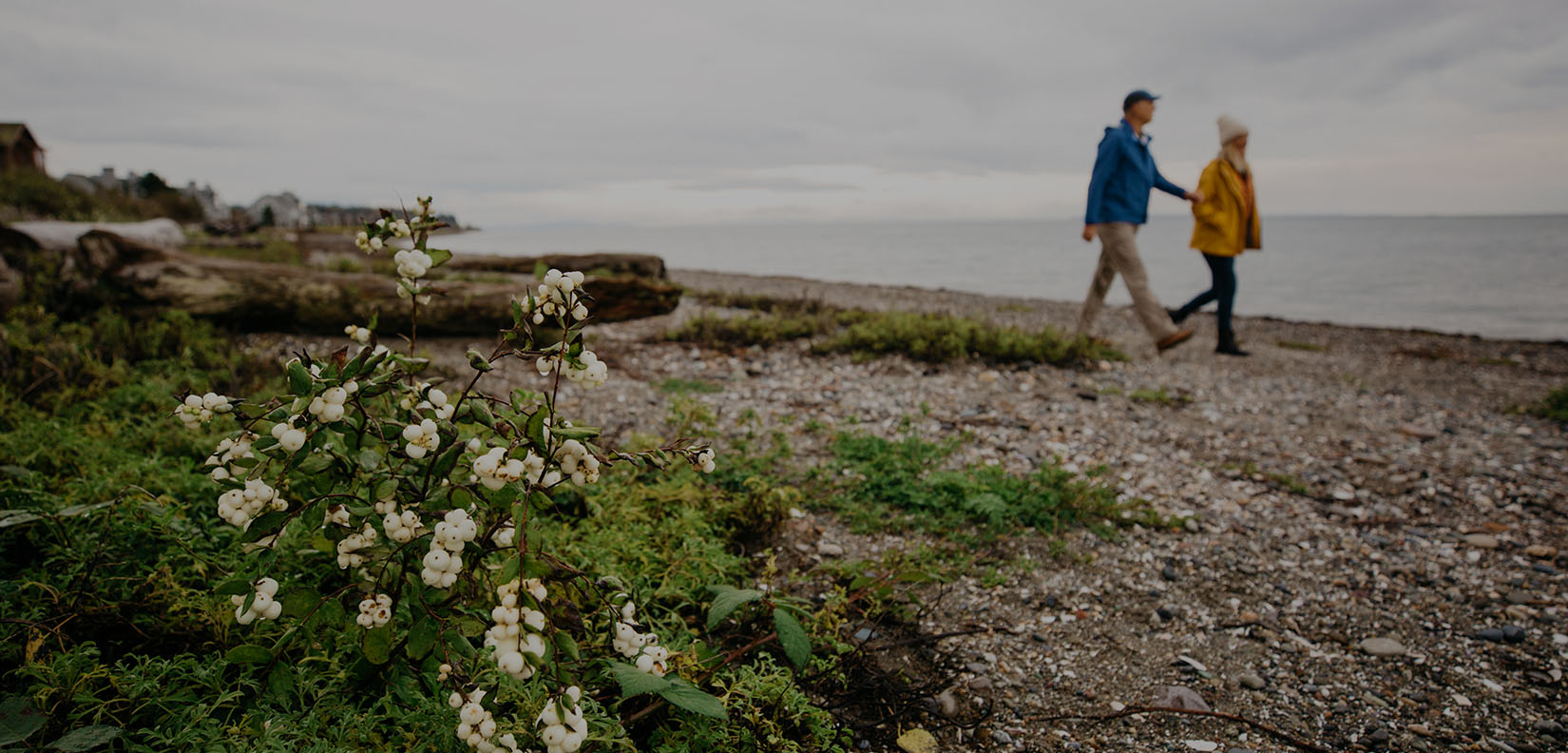 couple walking on the beach