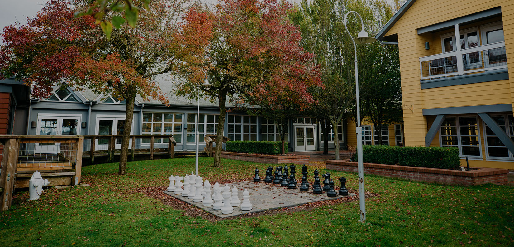 lawn chess set