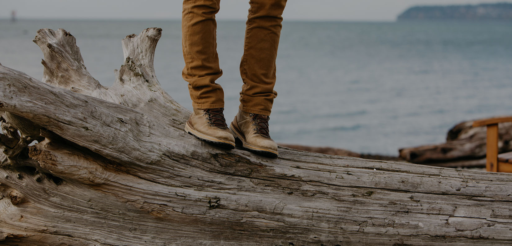 person walking on driftwood