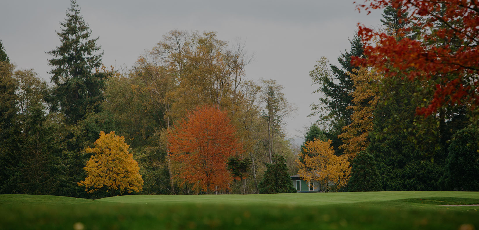 golfcourse with fall trees