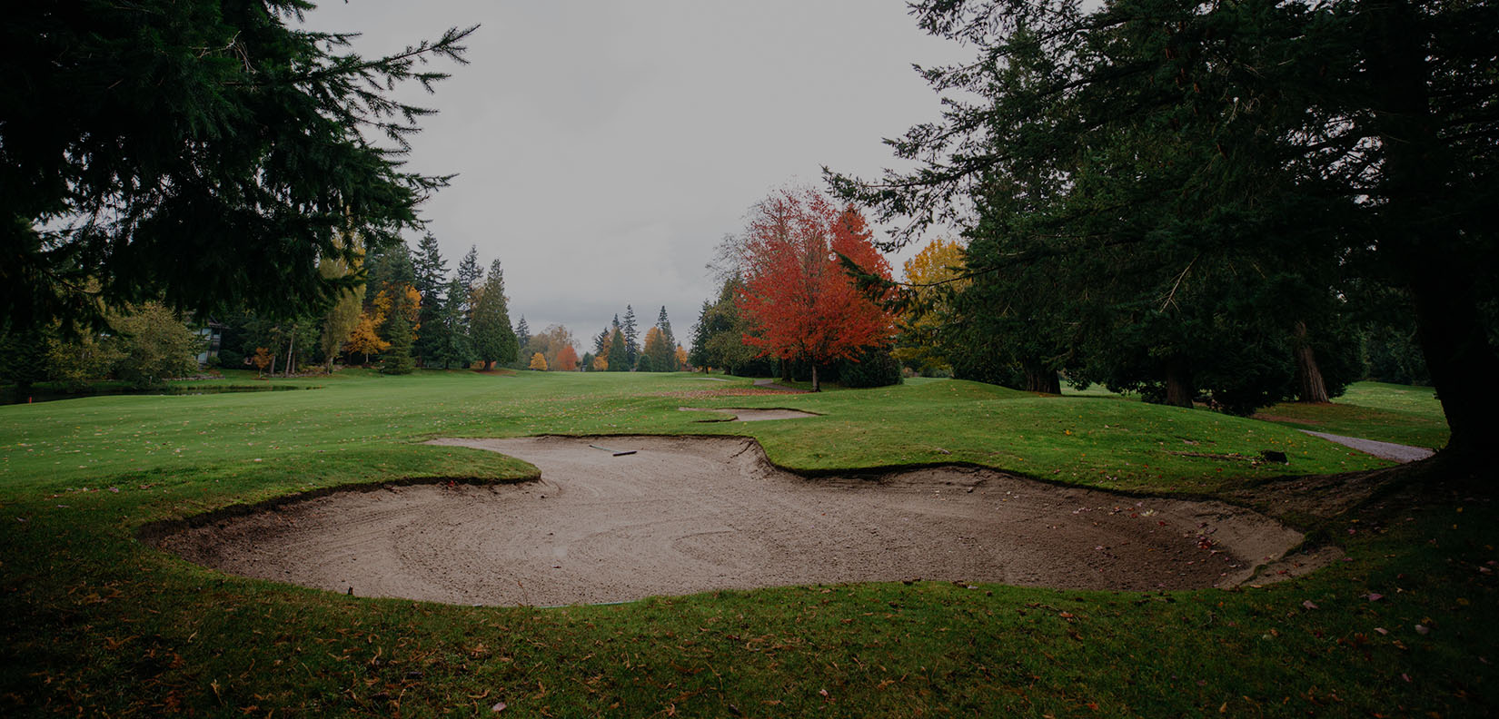 golf course green