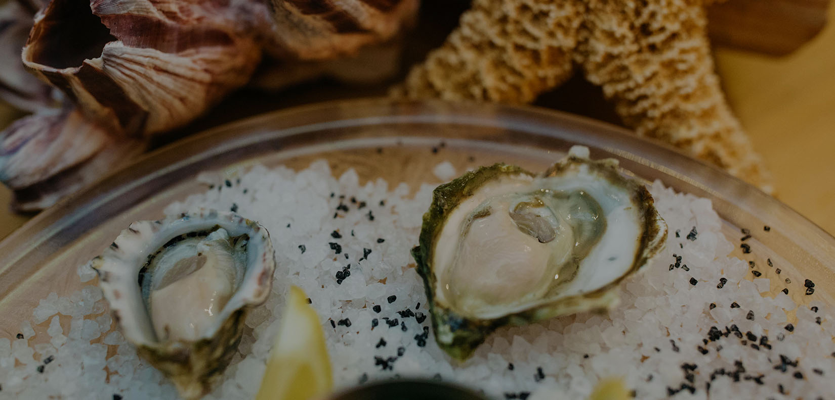 oysters