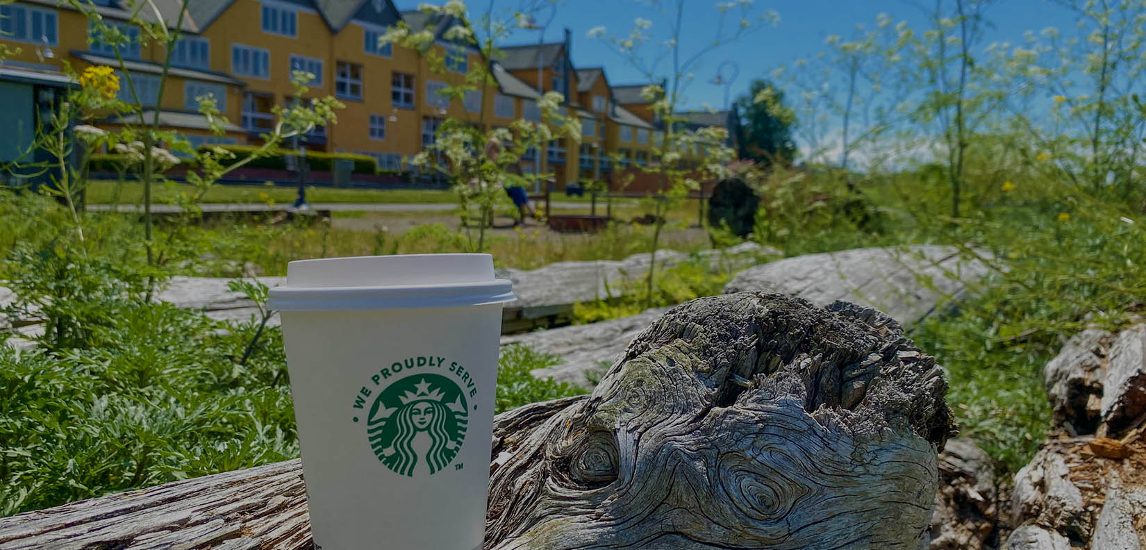 starbucks cup