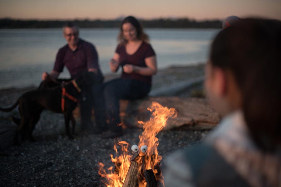 group around beach fire